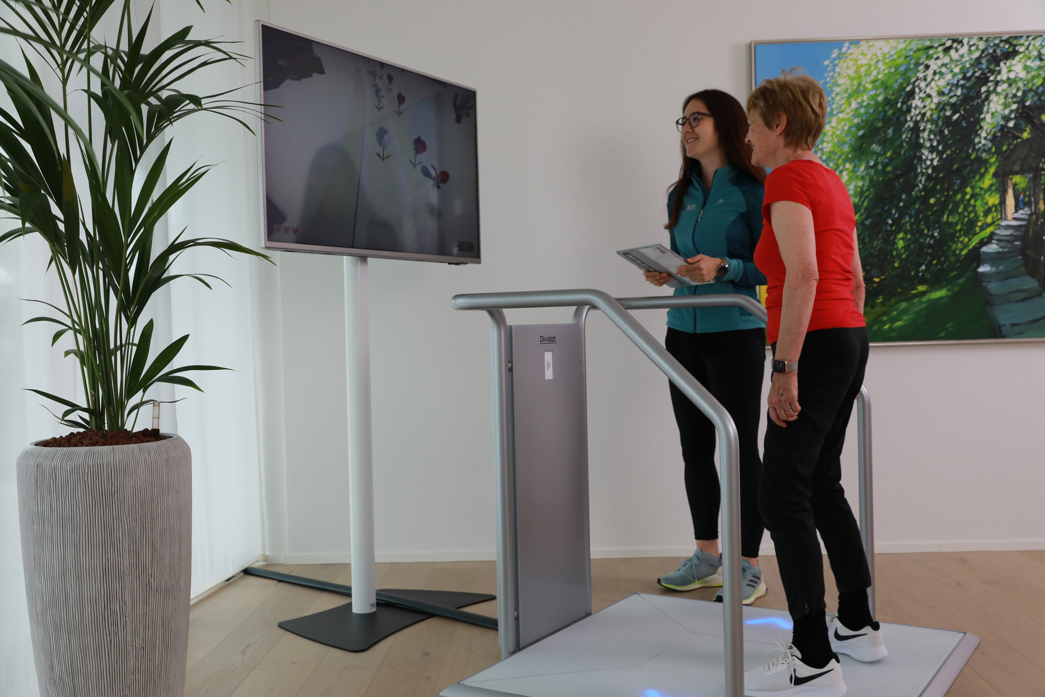 Dividat Senso study on healthy elderly: exergame and balance training