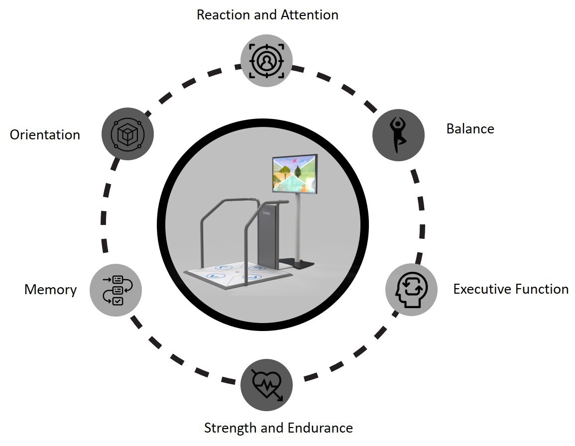 physical-cognitive-functions.jpg physical-cognitive-functions.jpg